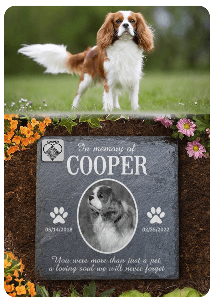 Pet memorial south africa online